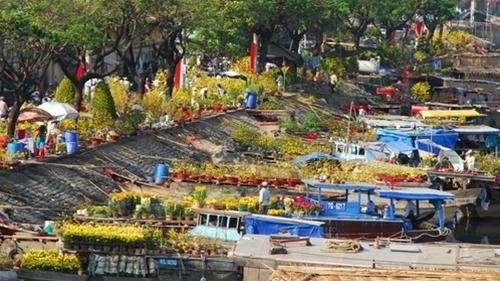 cho hoa xuan Hội chợ Hoa Xuân Phú Mỹ Hưng 2014
